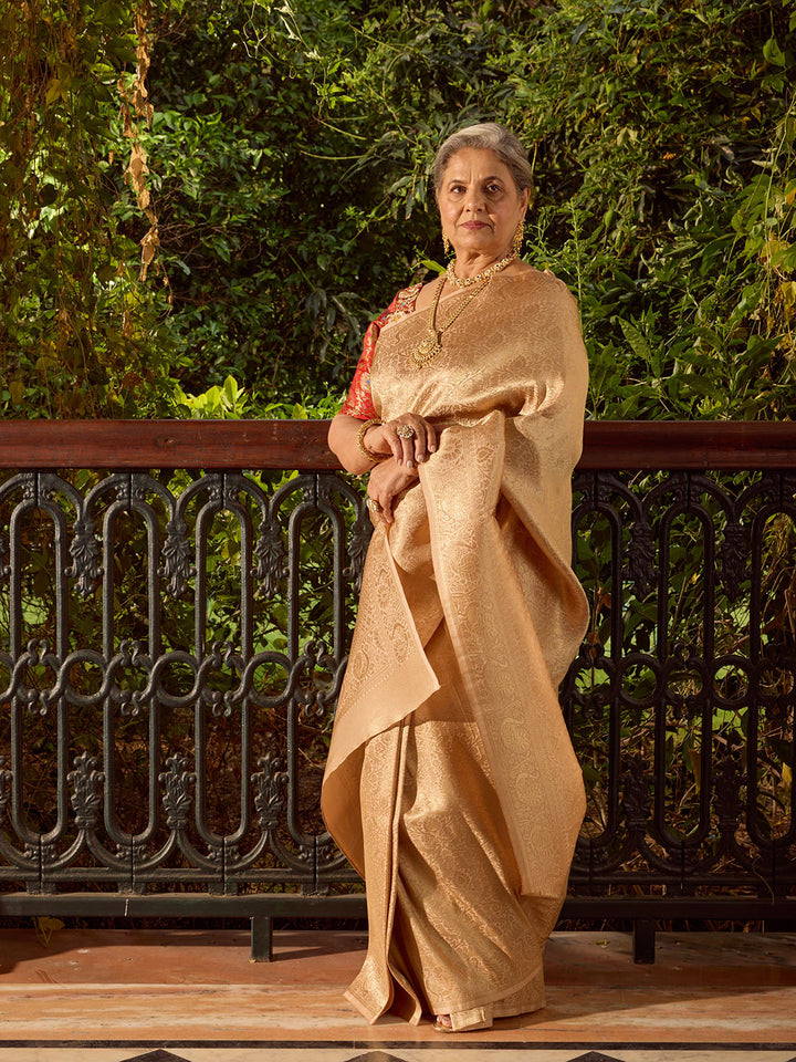 Zari Jaal Woven Banarasi Saree
