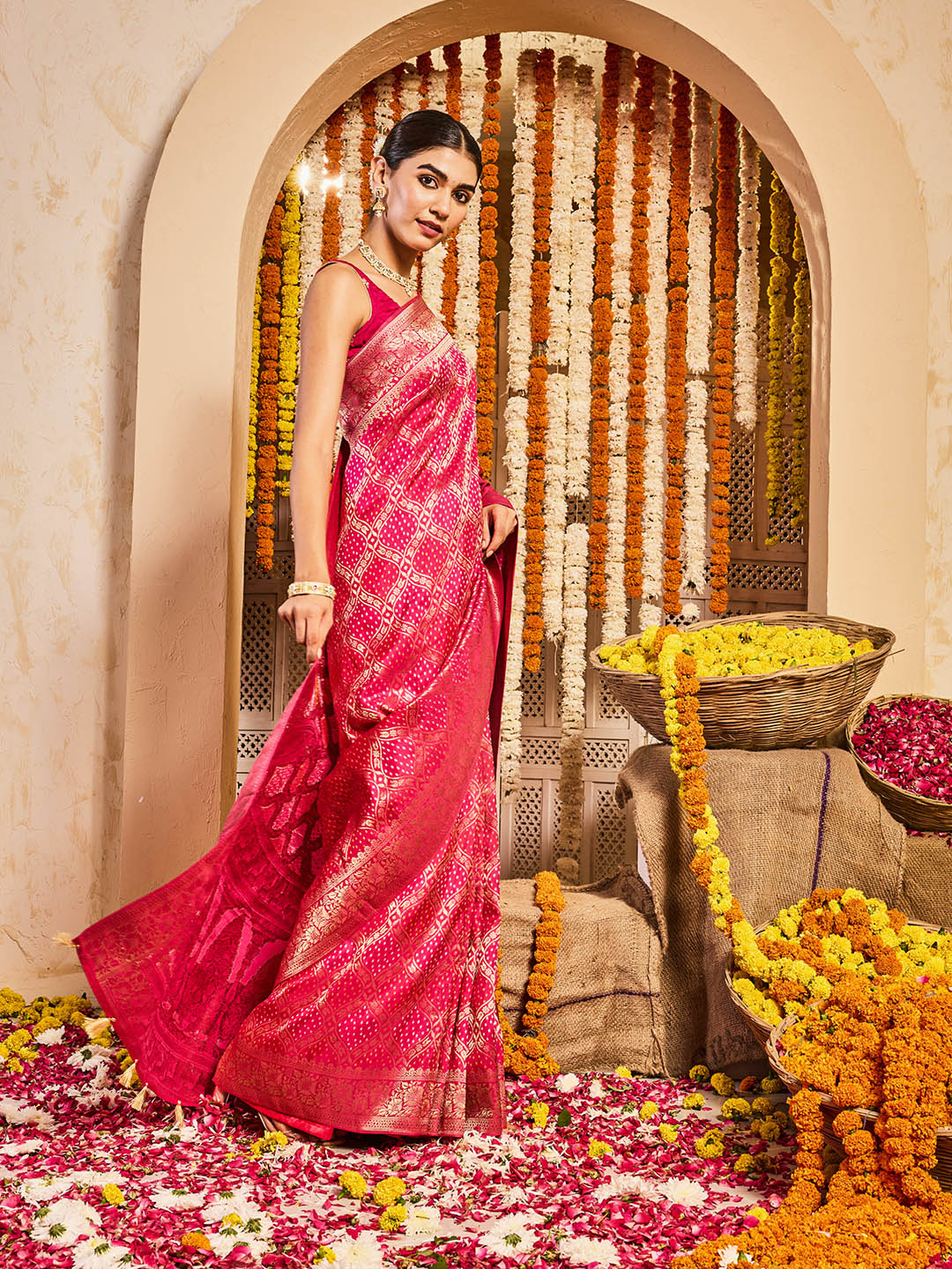 Zari Jaal Woven Dola Handloom Saree