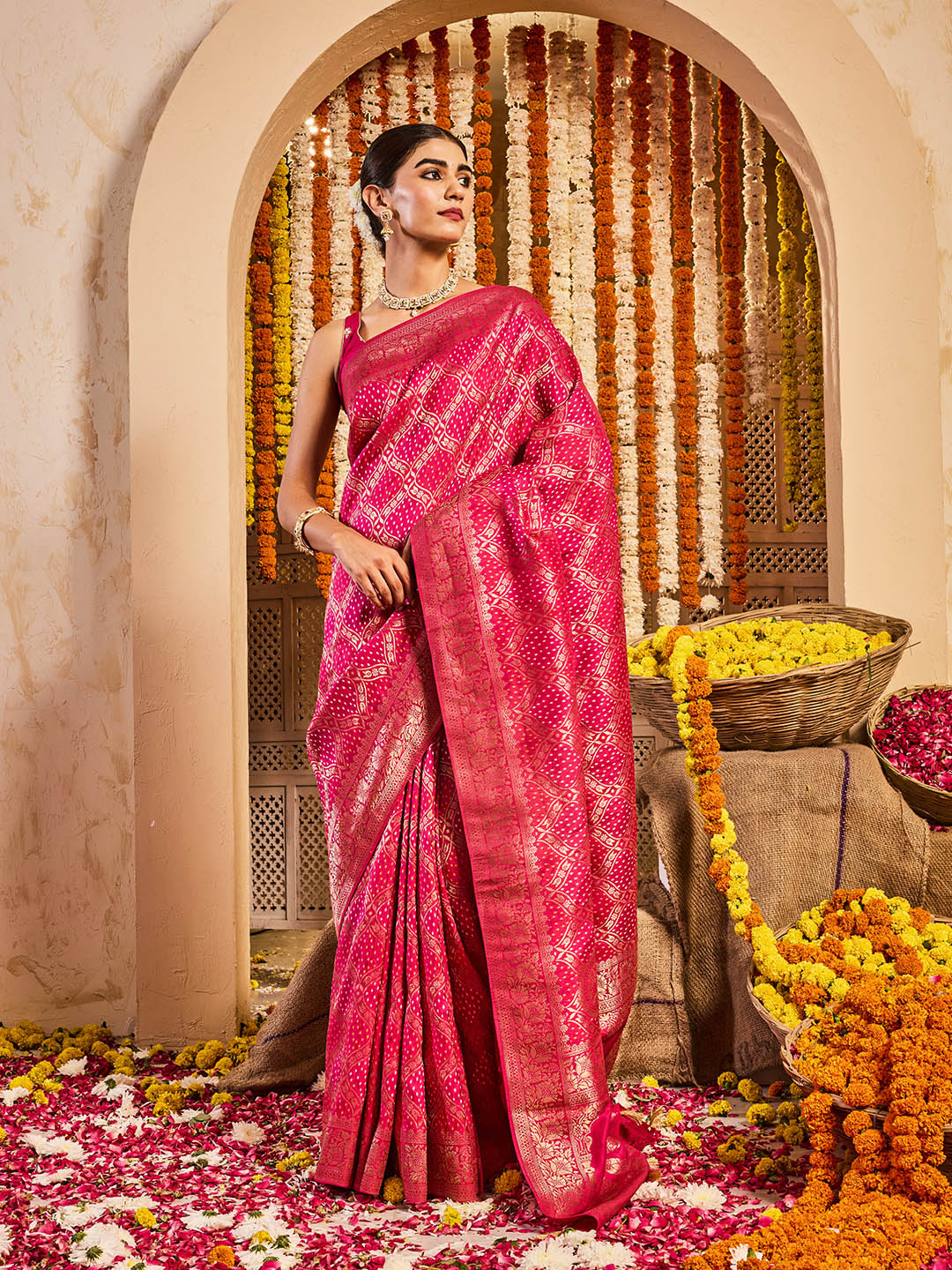 Zari Jaal Woven Dola Handloom Saree