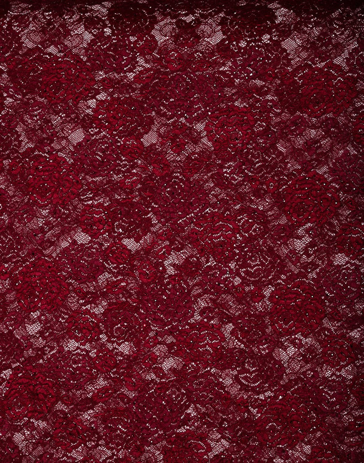 Lace saree with stone work