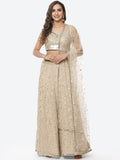 Embroidered Georgette Lehenga Choli With Net Dupatta