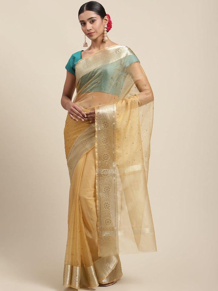 Stone Organza Plain Saree