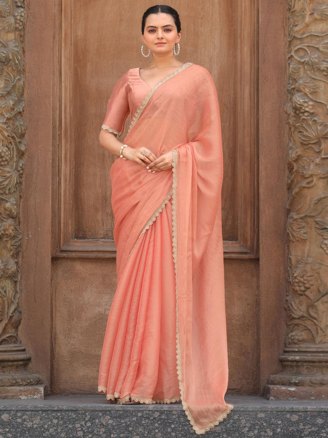Cutdana Embroidery Organza Saree