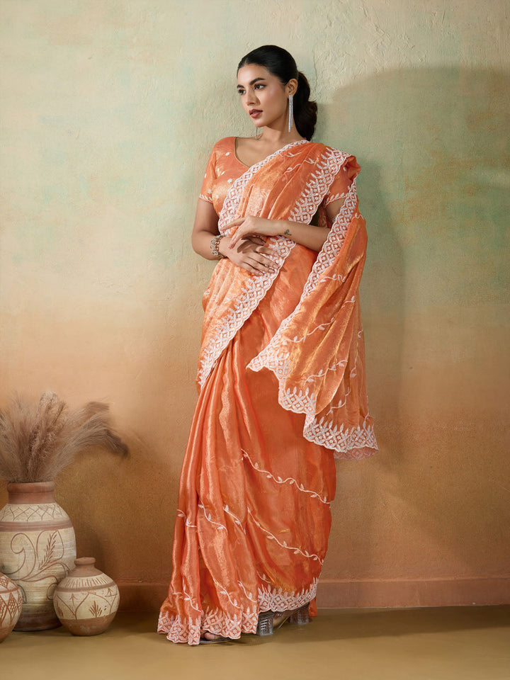 Embroidered Chiffon Velvet Saree