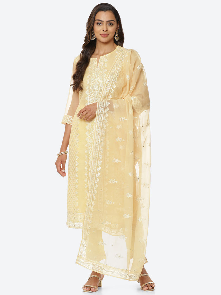 Resham Booti Organza Kurta With Pant &amp; Dupatta