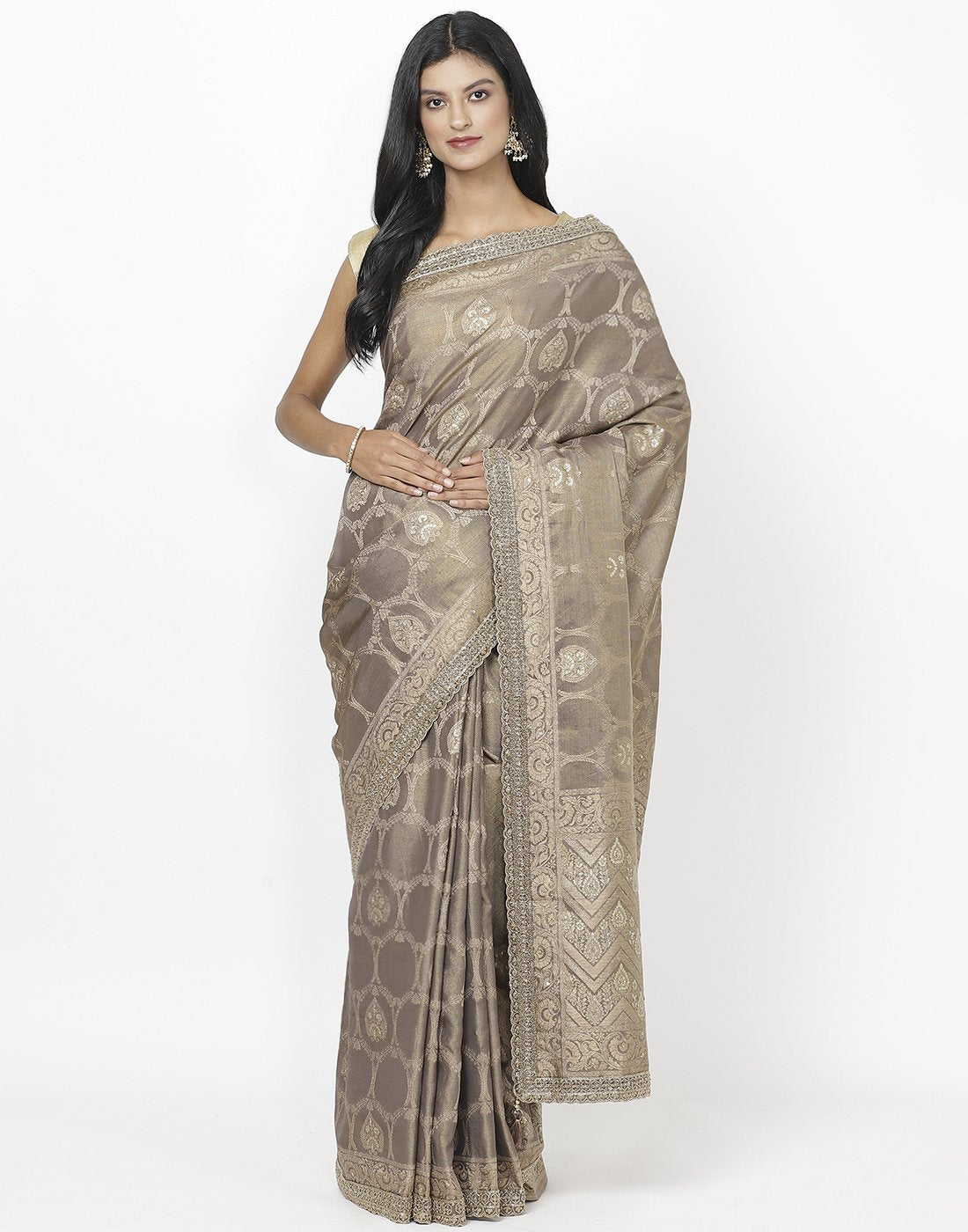 Grey Banarasi Tissue Saree