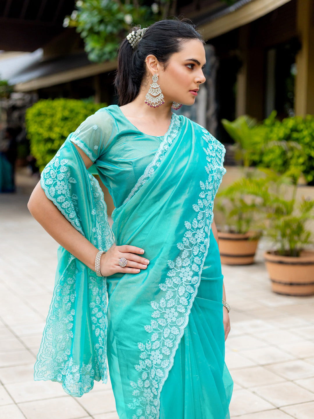 Embroidered Net Saree
