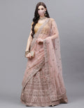 Handloom Embroidered Lehanga with Net dupatta