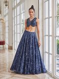Cut Dana Embroidered Net Choli With Lehenga