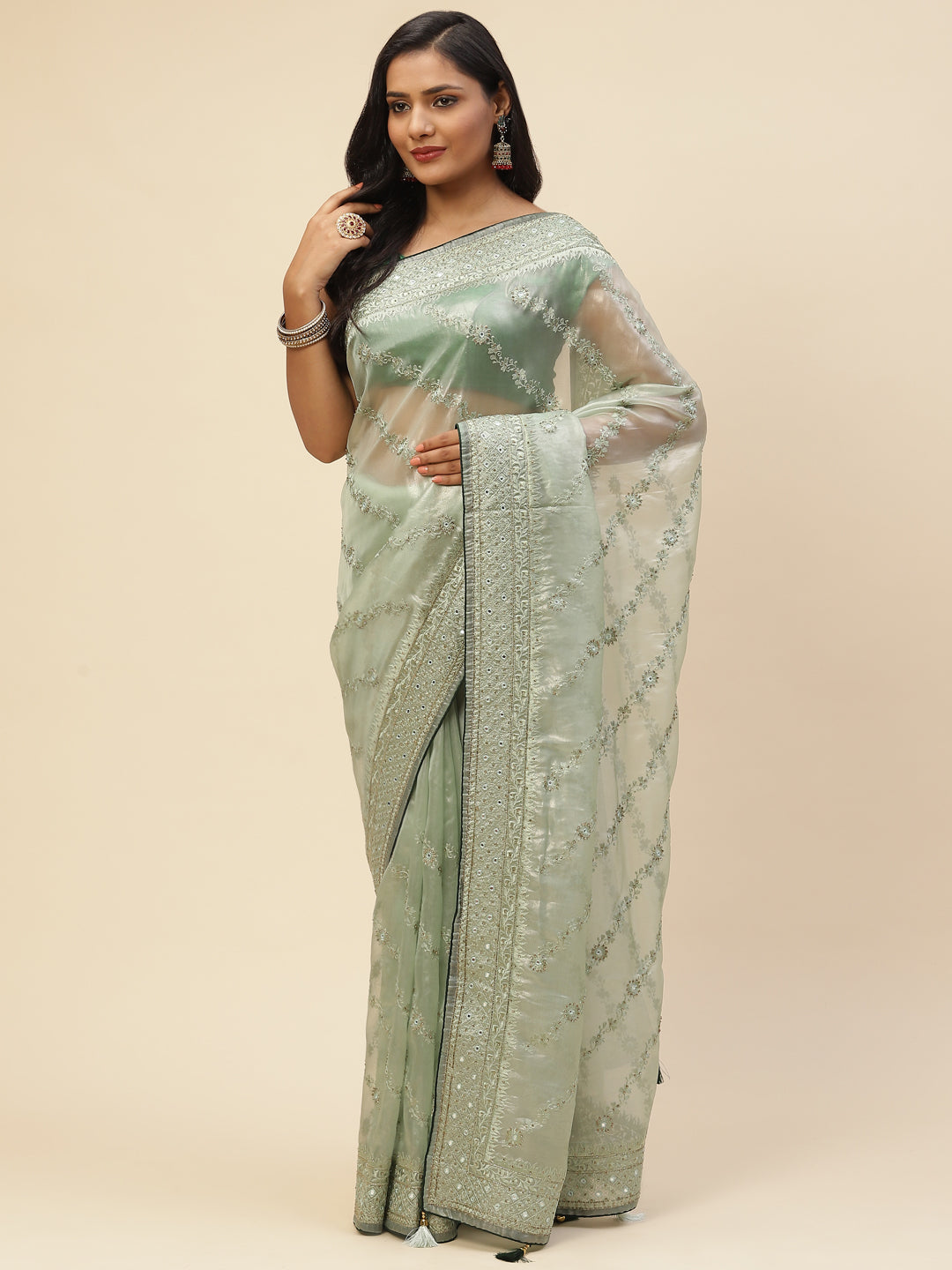 Cutdana Embroidered Organza Saree