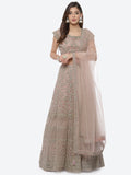 Zari Jaal Net Choli With Lehenga & Net Dupatta