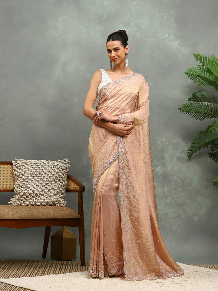 Stone Embroidered Tissue Saree