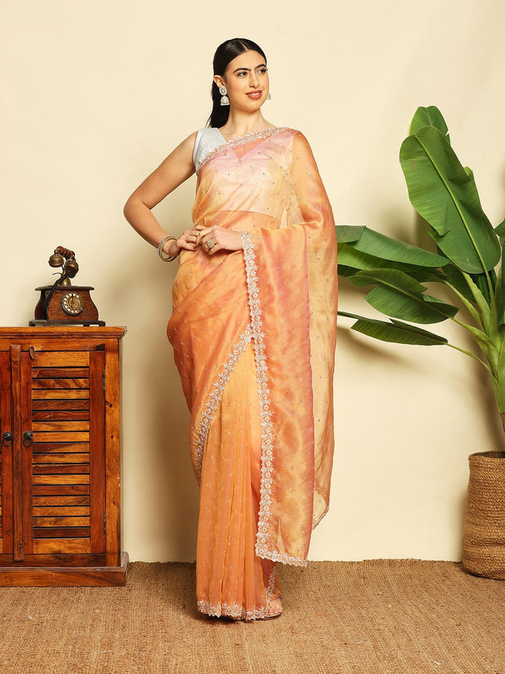 Cut Work &amp; Stone Embellished Tissue Saree