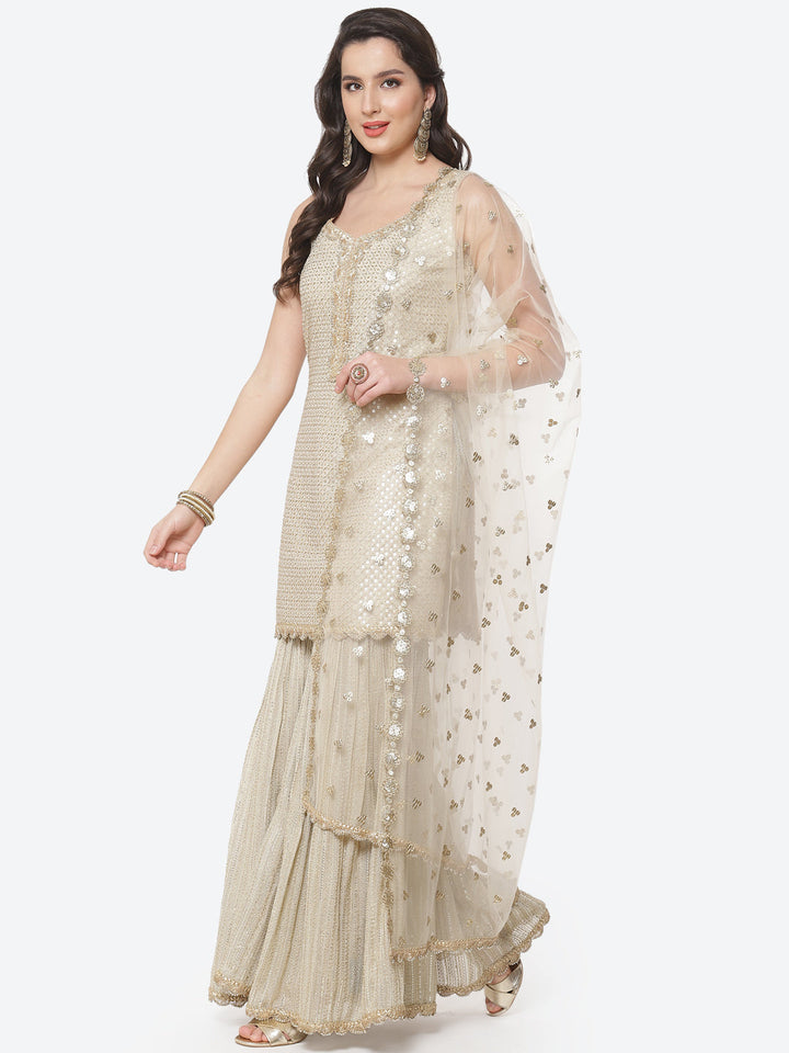 Sequenece Georgette Stitched Salwar Kameez With Net Dupatta