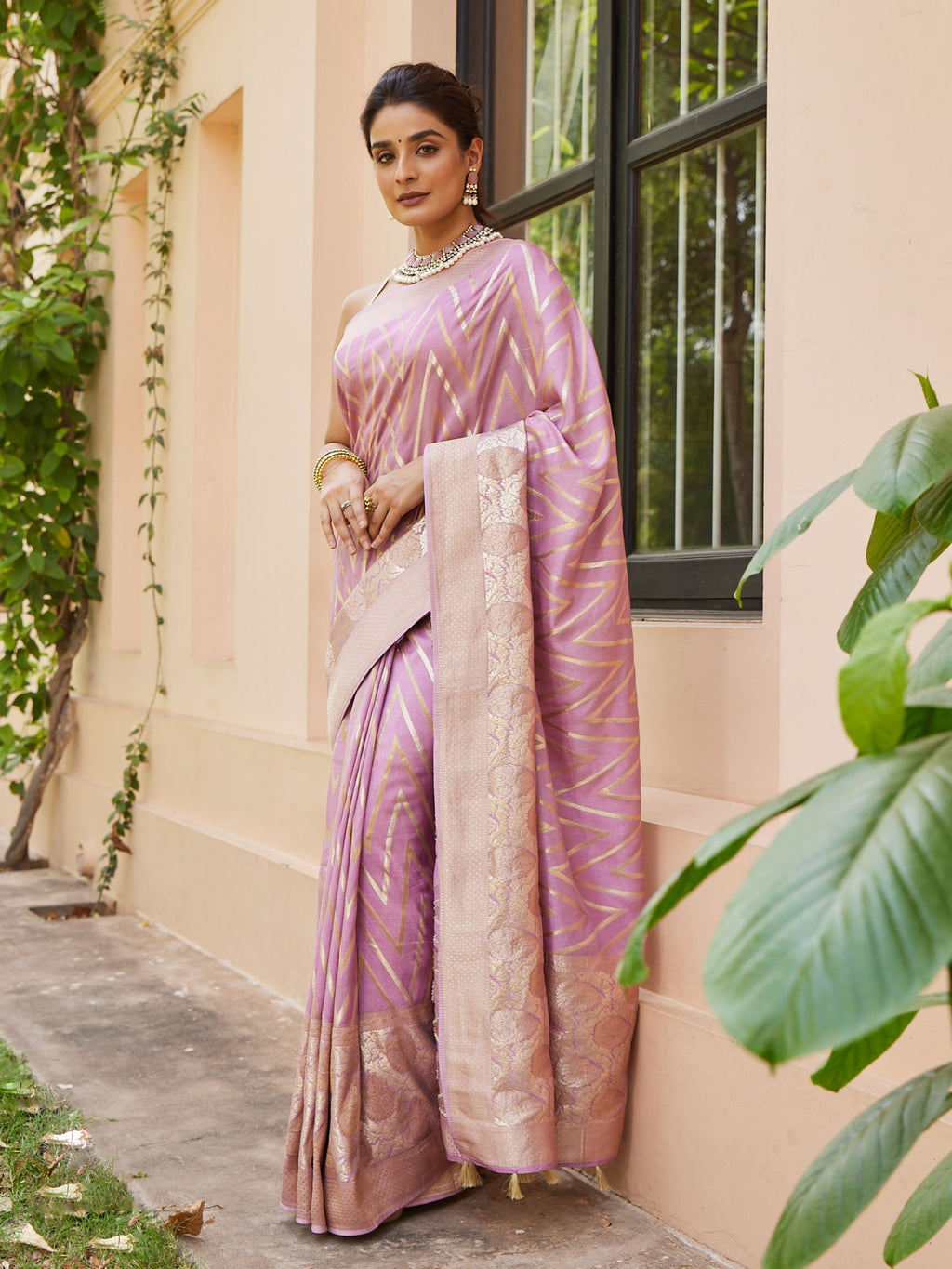 Zari Jaal Banarsi Plain Saree