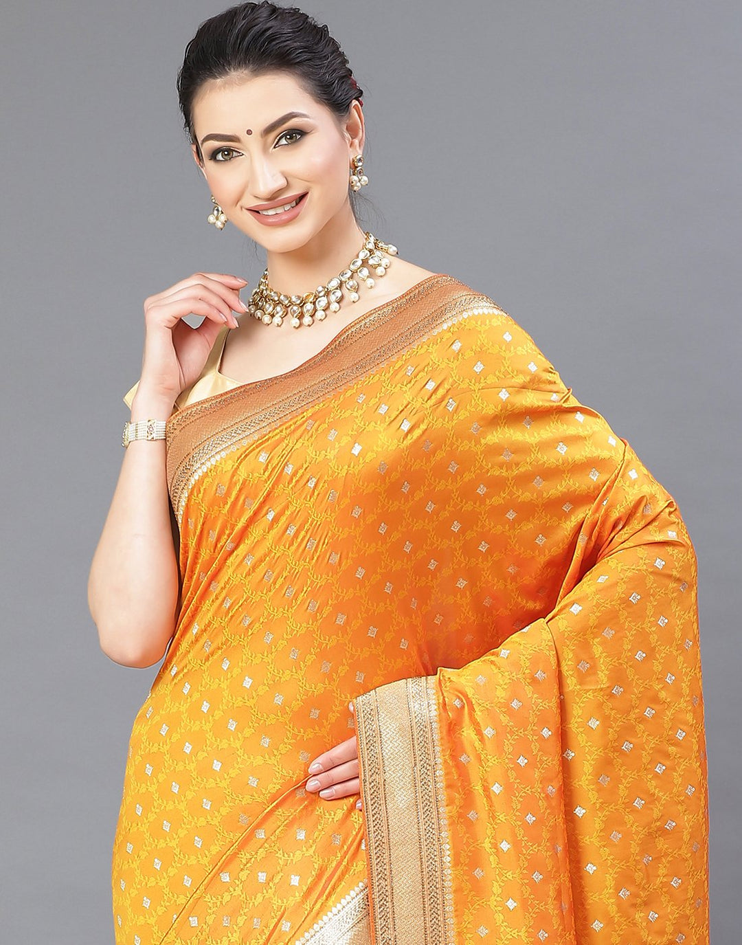 Banarasi Art Handloom Saree