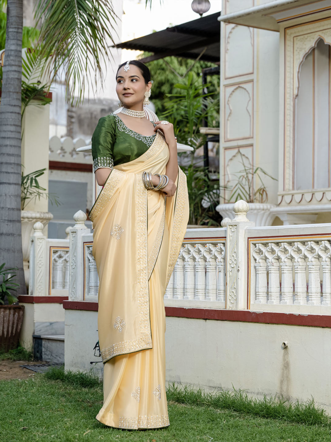 Embroidered Chinnon Saree