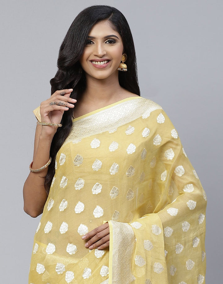 Banarasi Tissue Woven Saree