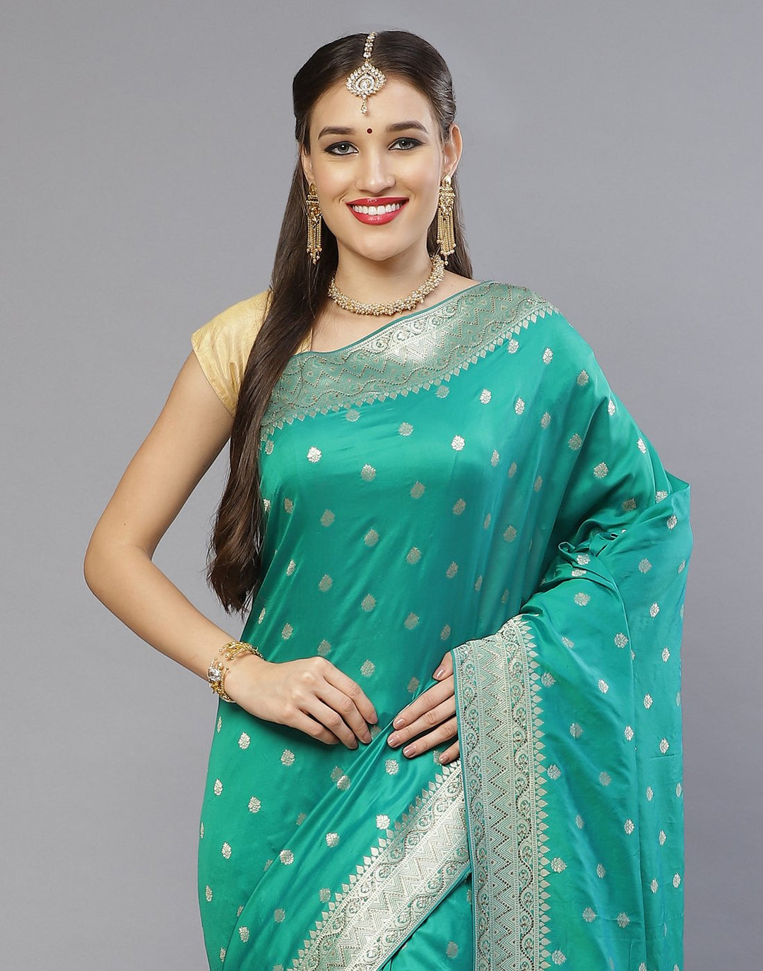 Banarasi Embroider Saree