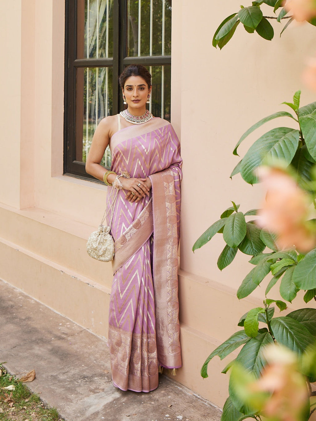 Zari Jaal Banarsi Plain Saree