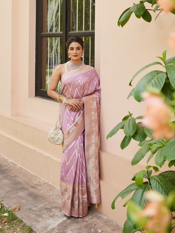Zari Jaal Banarsi Plain Saree