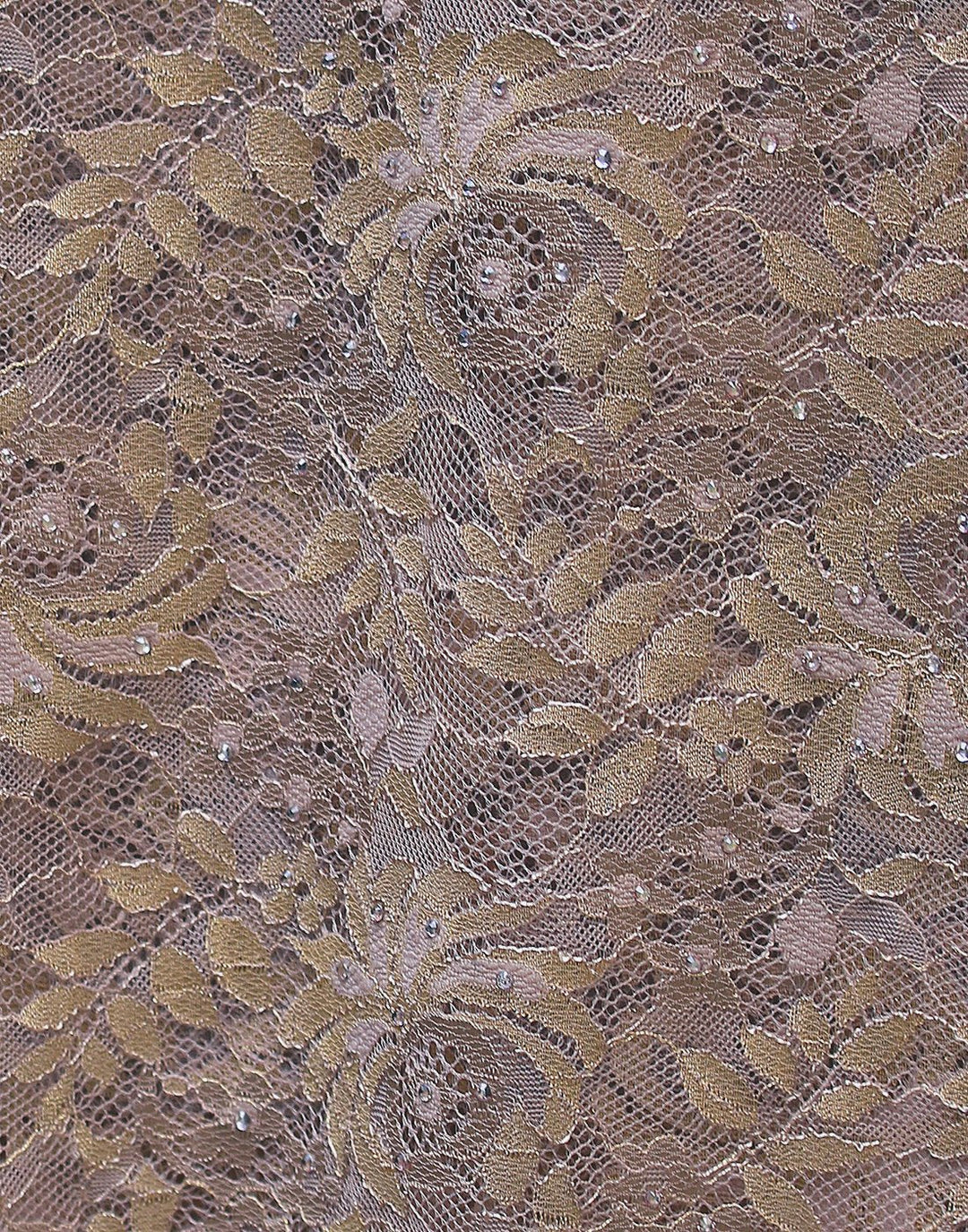 Lace saree with stone work (7657422278)