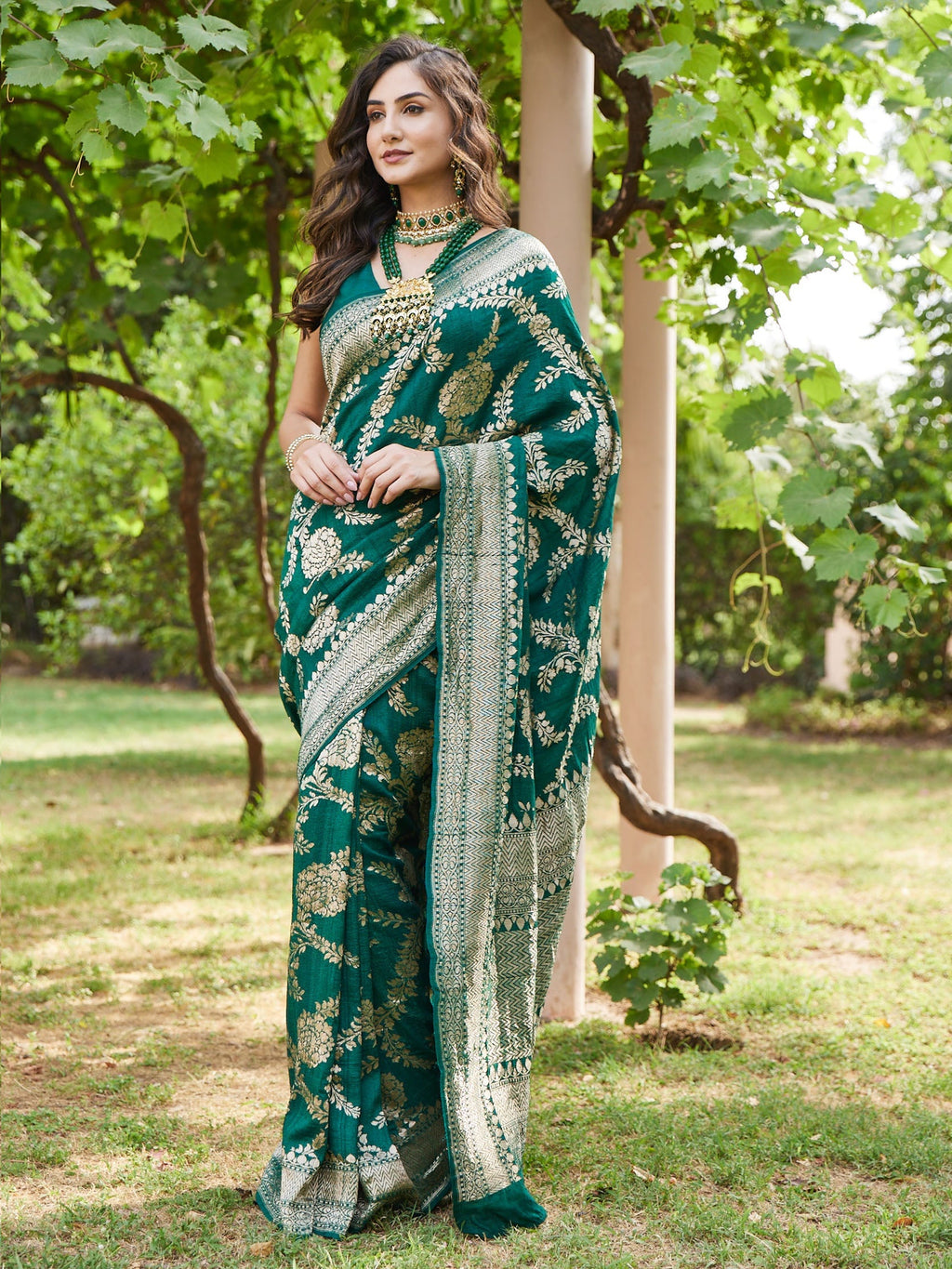 Printed Gold Jaal Banarsi Plain Saree