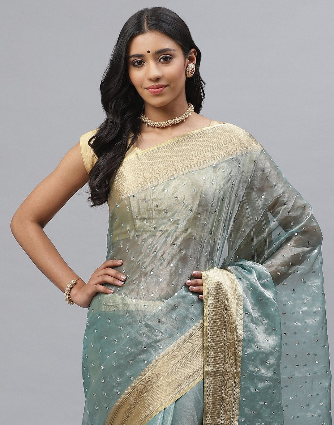 Organza Embroidery Saree