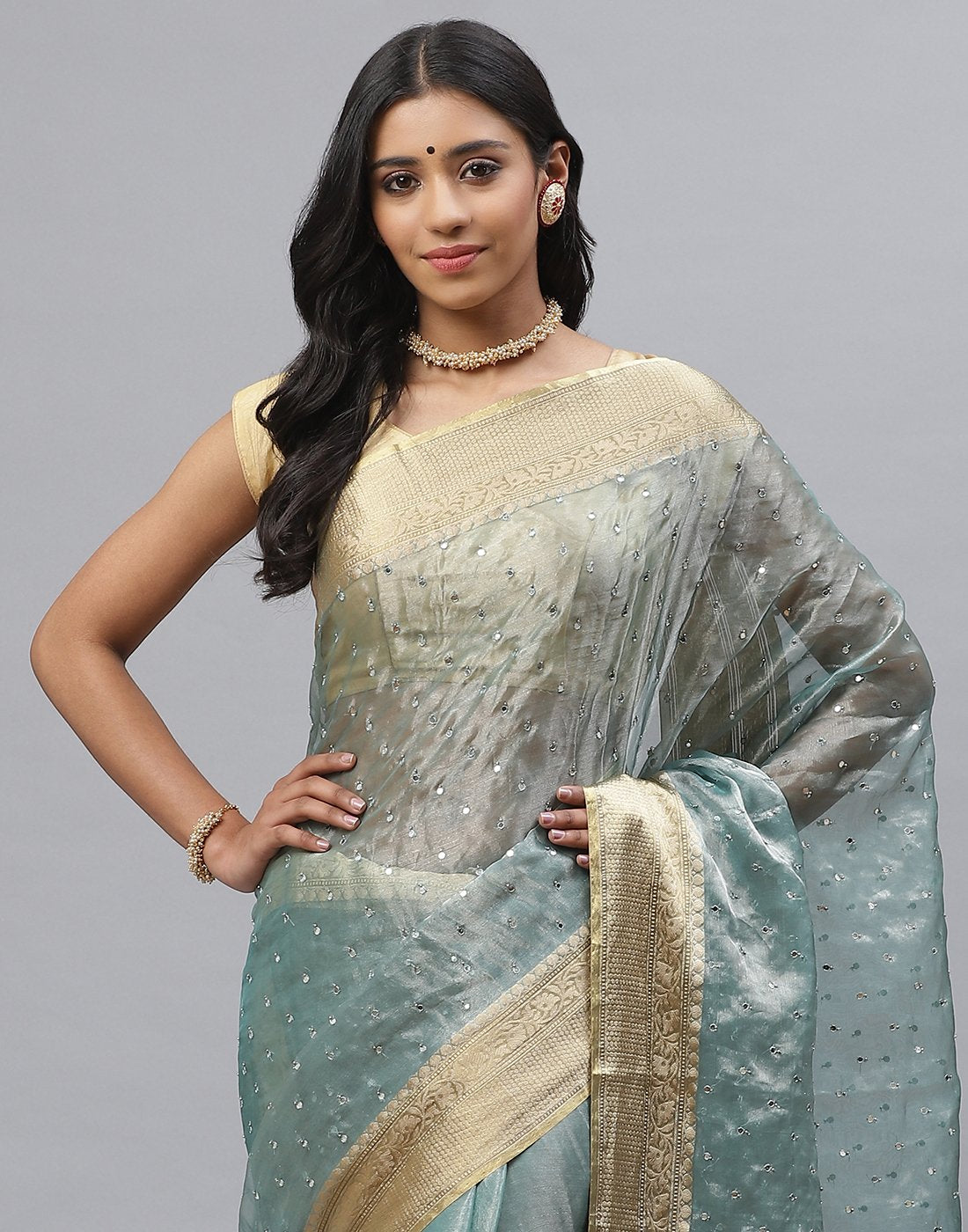Organza Embroidery Saree