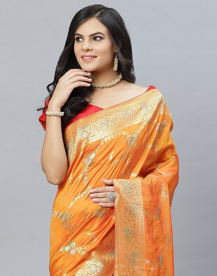 SAREES-HLME (SAREES)