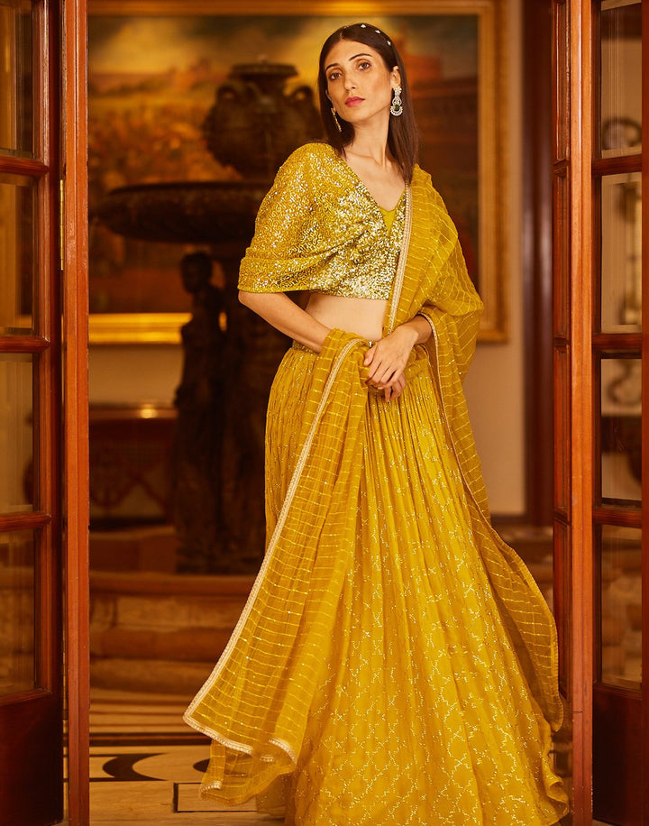 Sequence Embroidered Georgette Lehenga With Butterfly Sleeves