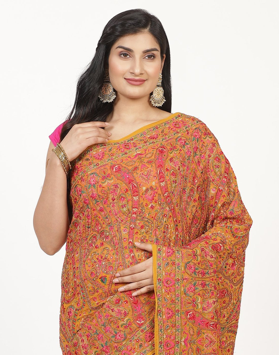 Georgette saree with multi-colour embroidery