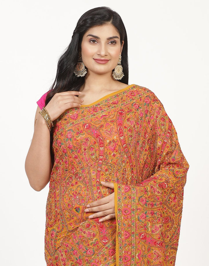 Georgette saree with multi-colour embroidery
