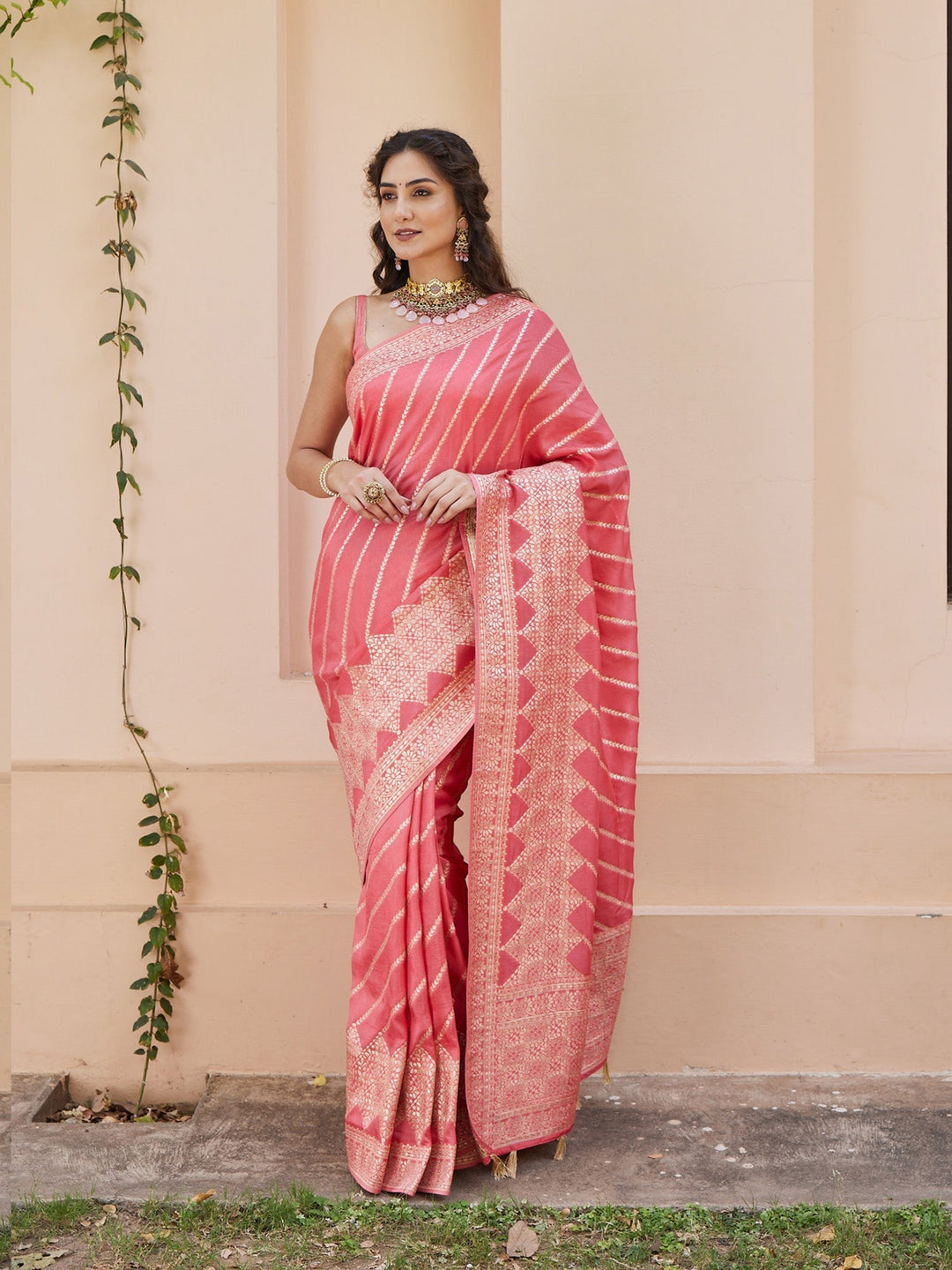 Zari Zaal Woven Banarasi Saree