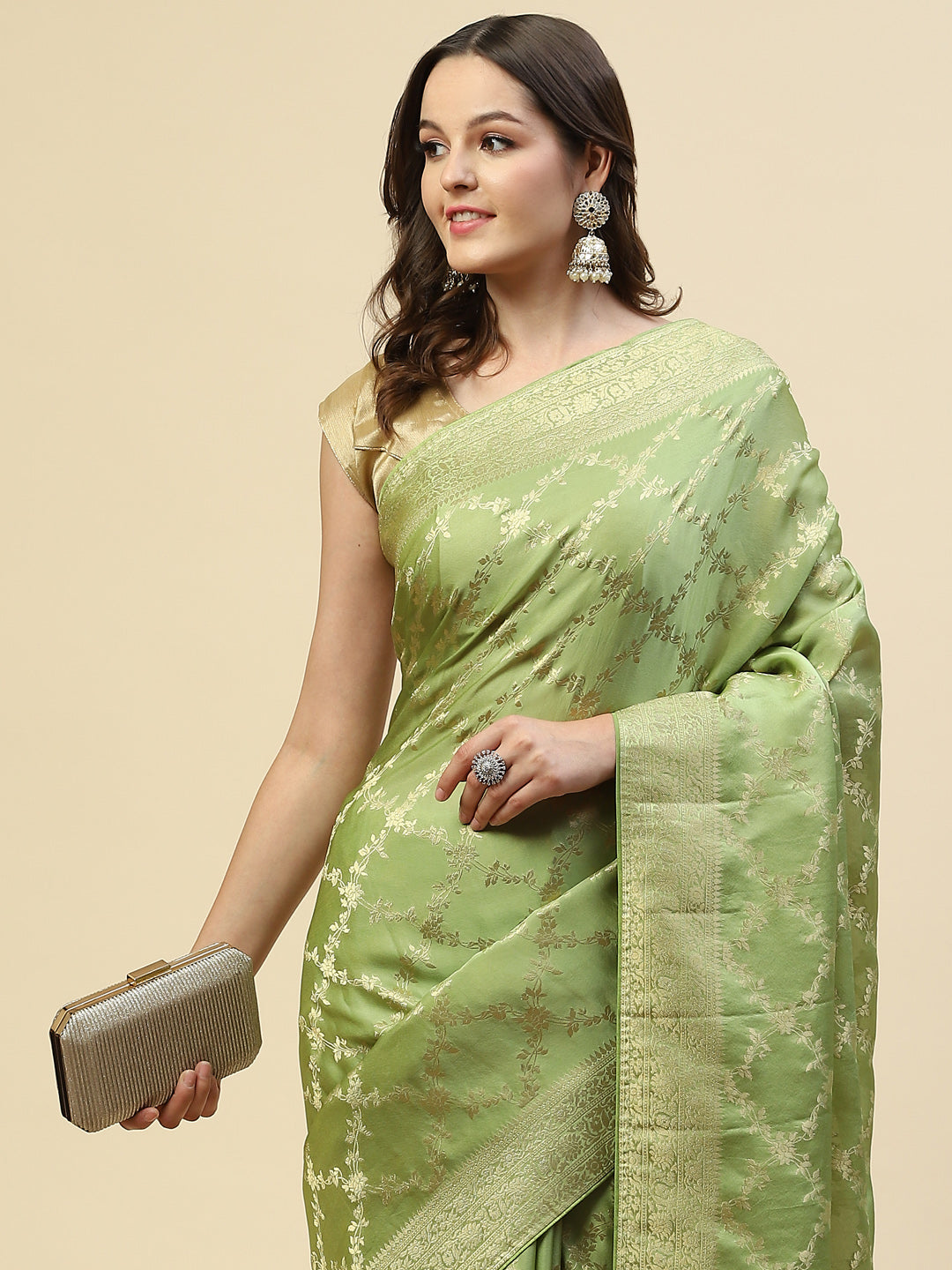 Zari Jaal Banarasi Woven Saree