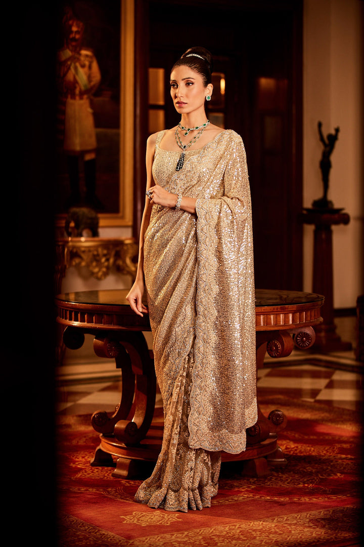Sequin Embroidered Net Saree