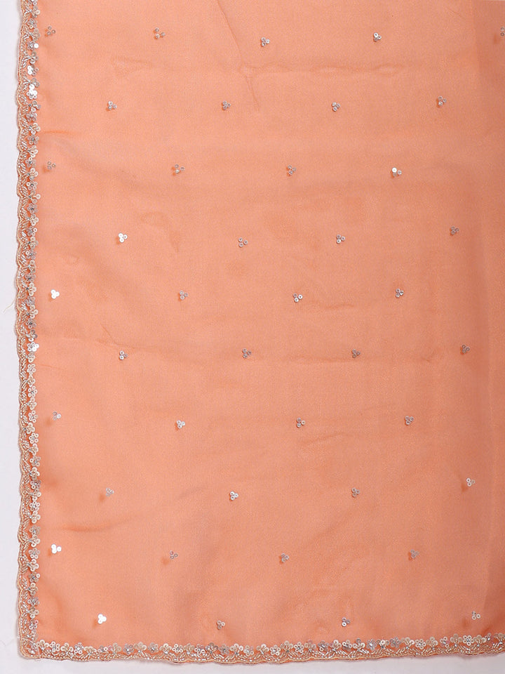 Sequence Embroidery Tissue Saree