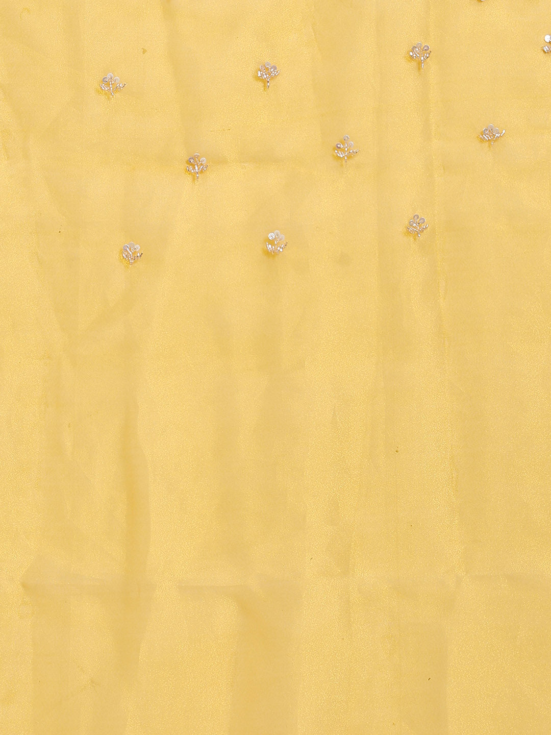 Sequence Embroidery Tissue Saree