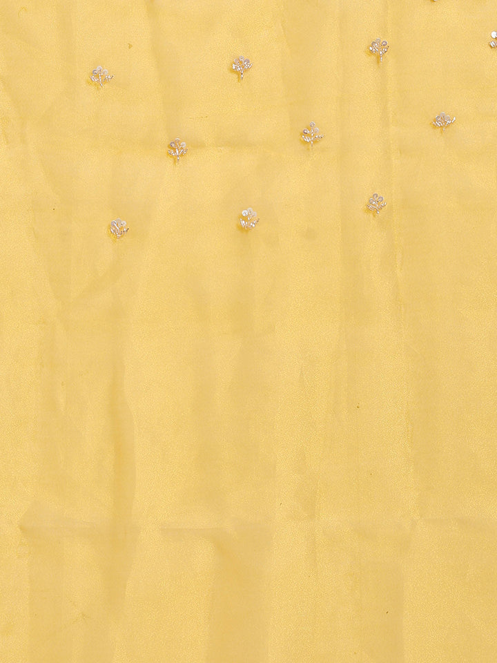 Sequence Embroidery Tissue Saree