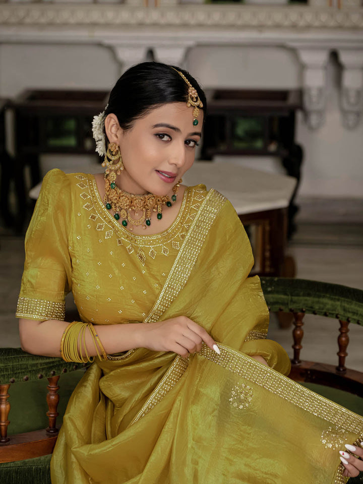 Stone Embroidery Organza Saree