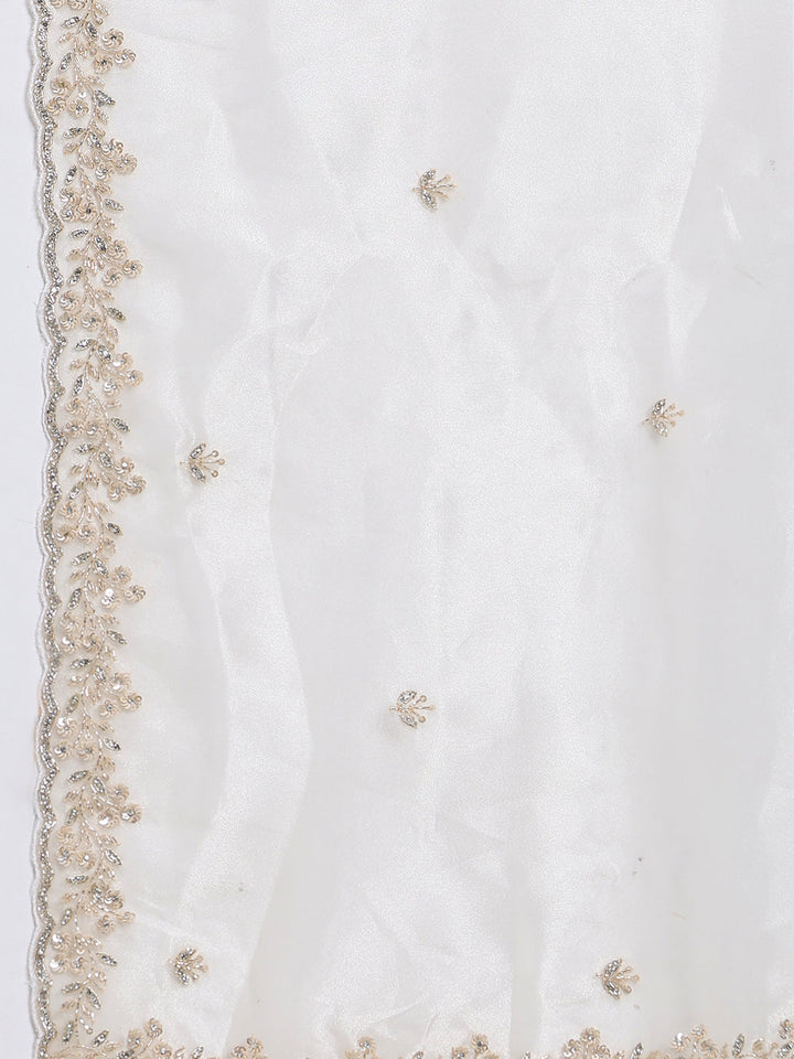 Sequence Embroidery Tissue Saree