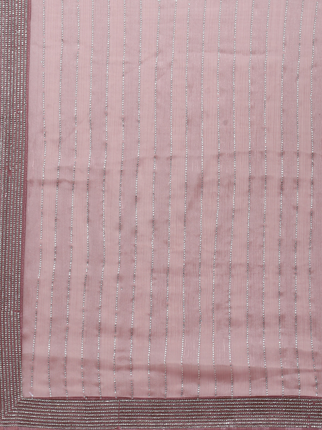 Stone  Embroidered Organza Saree