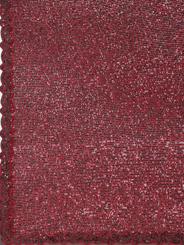 Embroidered Net Sequin Saree
