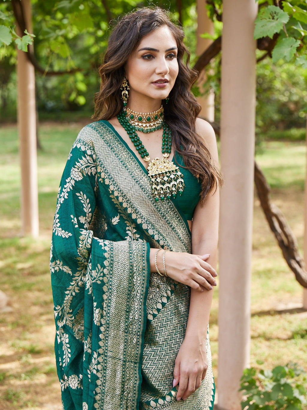 Printed Gold Jaal Banarsi Plain Saree