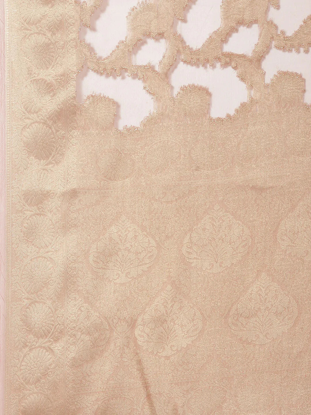 Floral Zari Jaal Organza Plain Saree