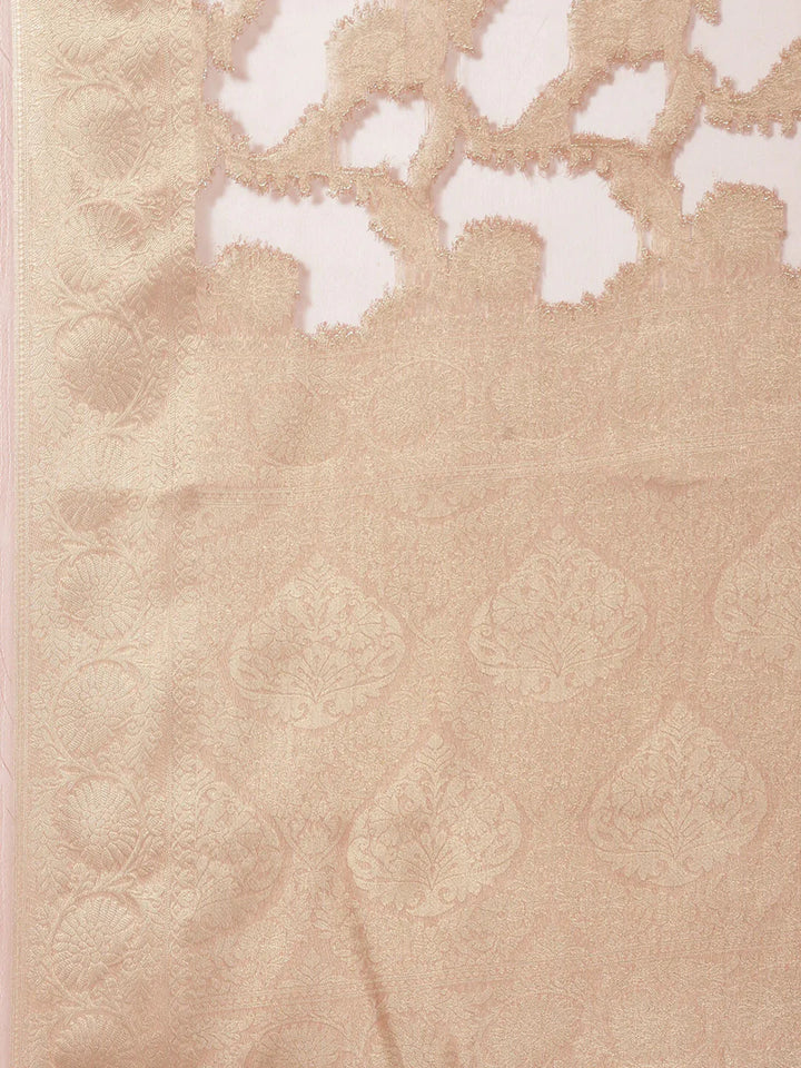 Floral Zari Jaal Organza Plain Saree