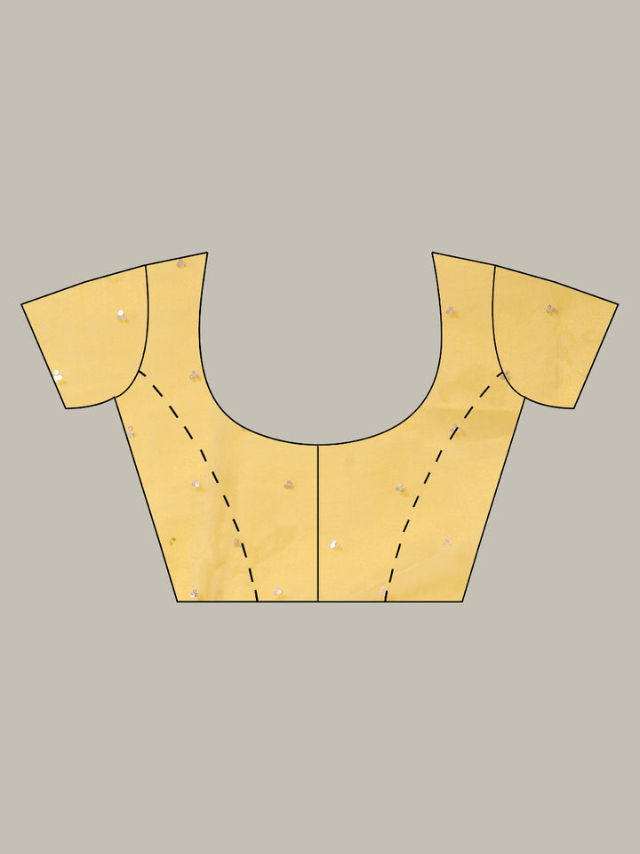 Sequence Embroidery Tissue Saree