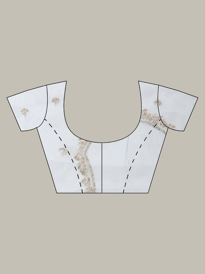 Sequence Embroidery Tissue Saree