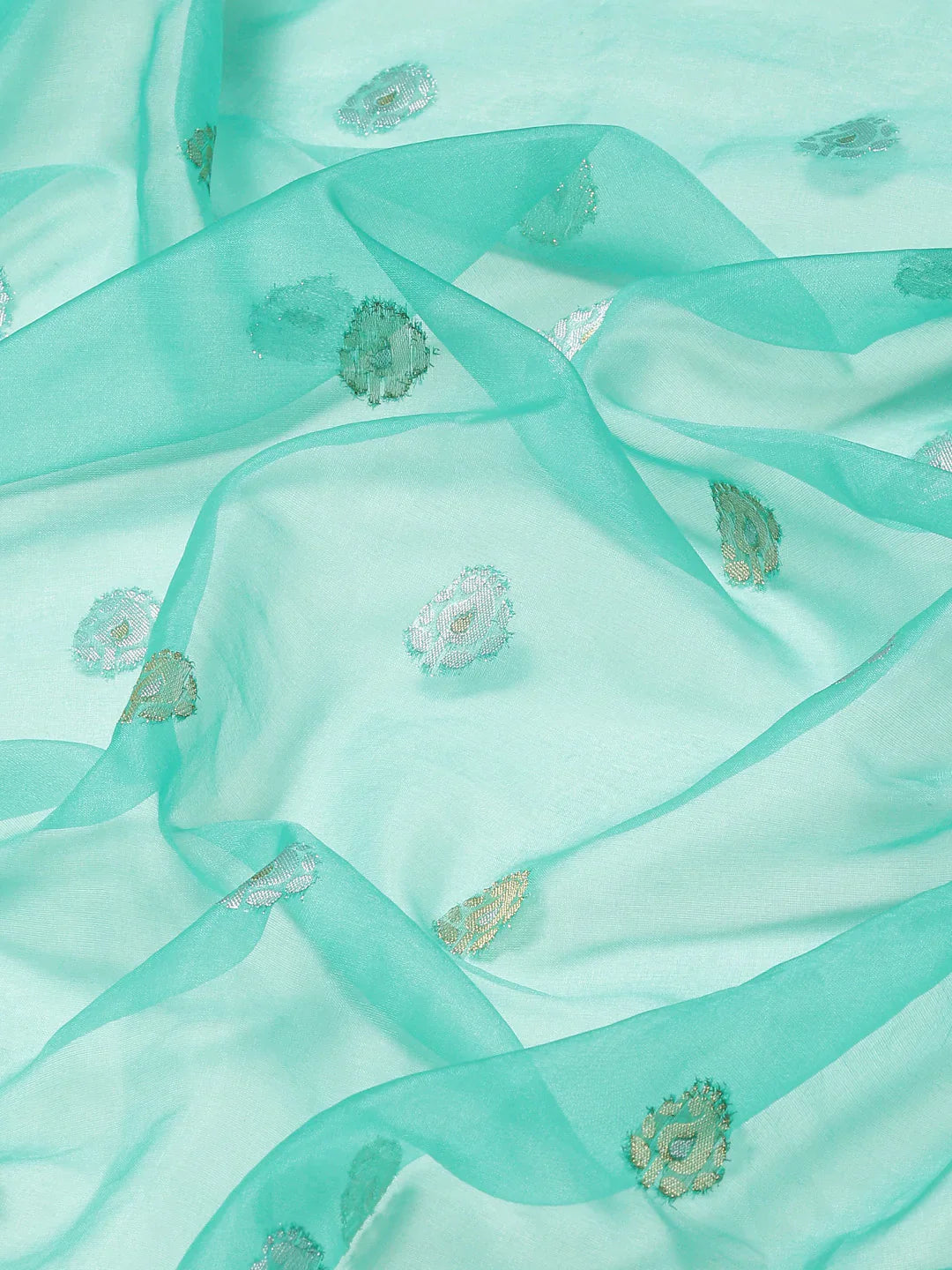 Zari Border Booti Organza Woven Saree
