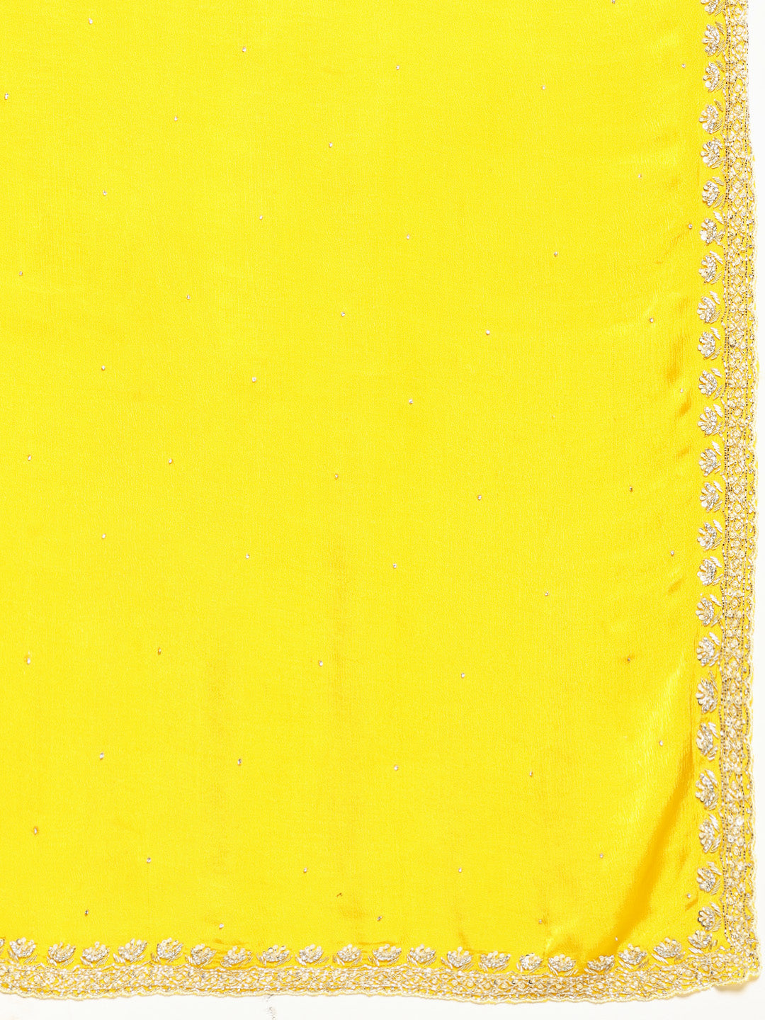 Stone Work Chinnon Saree